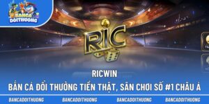 Ricwin