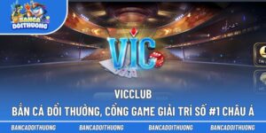 Vicclub
