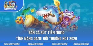 Bắn Cá Rút Tiền Momo