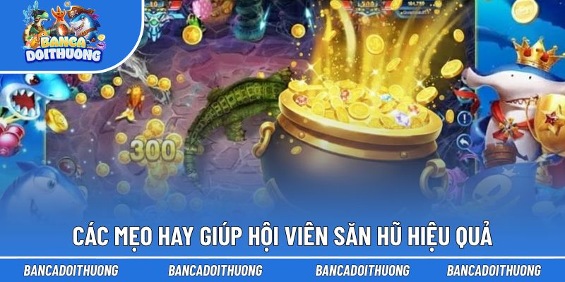 Bắn Cá Phá Hũ - Cùng Chọn Phòng Đúng, Săn Hũ Thưởng Khủng 3 Các mẹo hay giúp hội viên săn hũ hiệu quả
