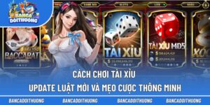 Cách chơi Tài Xỉu