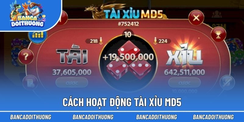 Cách hoạt động tài xỉu MD5