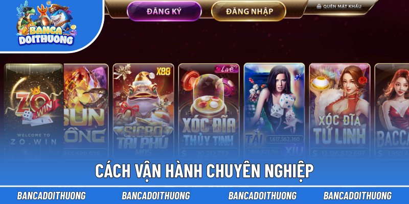 Cách vận hành chuyên nghiệp