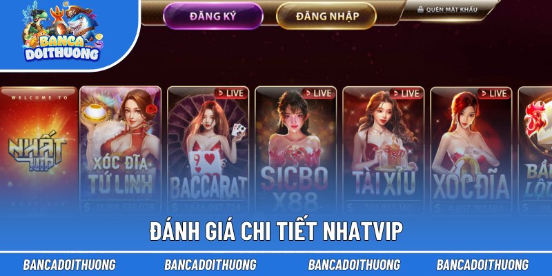 Đánh giá chi tiết Nhatvip