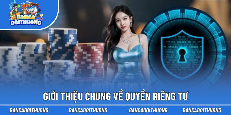 Những nét chính về quyền riêng tư