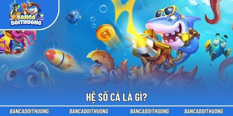 Hệ Số Cá - Thông Số Thưởng Và Định Hướng Chiến Lược Tấn Công 1 Hệ số cá là gì?