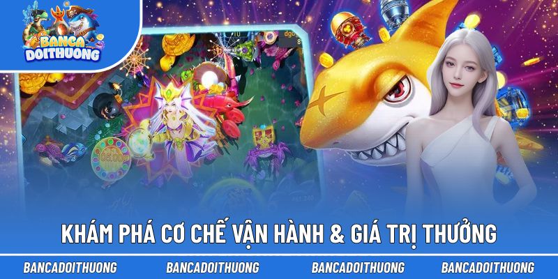 Khám phá cơ chế vận hành & giá trị thưởng