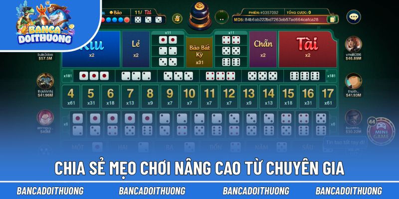 Cầu 1-2-1 Tài Xỉu - Cách Nhận Diện Nhịp Rơi Cực Kỳ Chuẩn 3 Kinh nghiệm sử dụng cầu 1-2-1 hiệu quả
