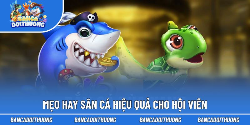 Mẹo hay săn cá hiệu quả cho hội viên