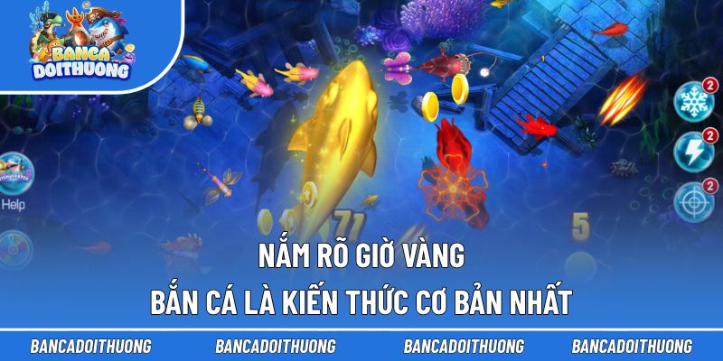 Nắm rõ giờ vàng bắn cá là kiến thức cơ bản nhất