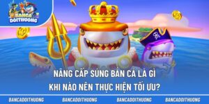 Nâng Cấp Súng Bắn Cá
