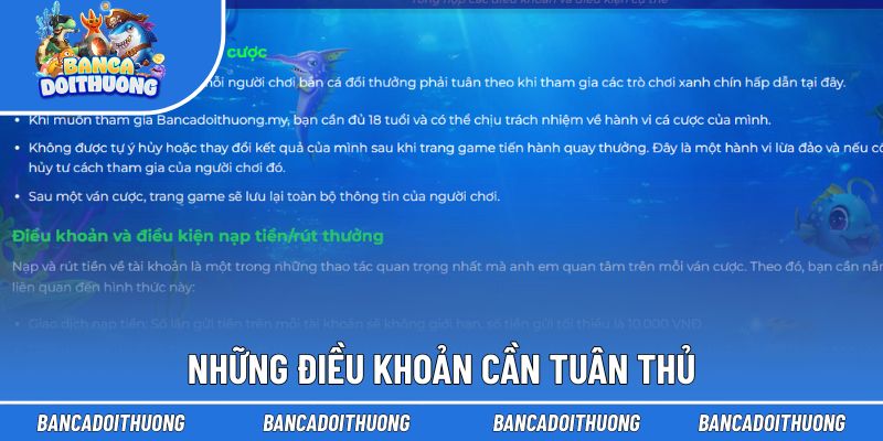 Nguyên tắc cơ bản cần nắm bắt