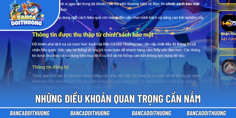 Những quy định quan trọng bạn cần biết 