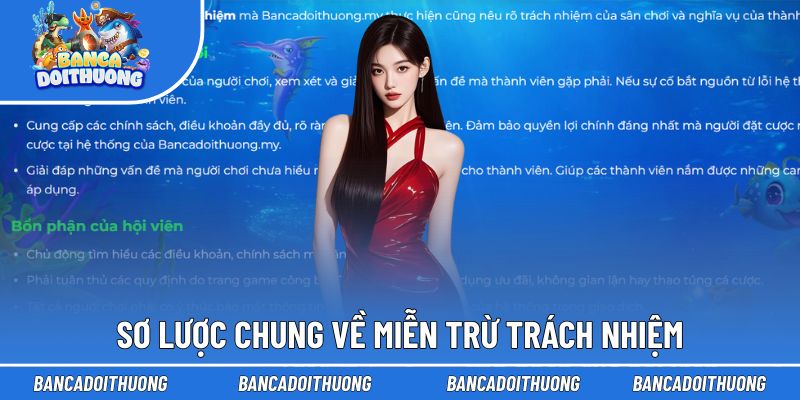 Tổng quan về miễn trừ trách nhiệm