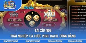 Tài xỉu MD5