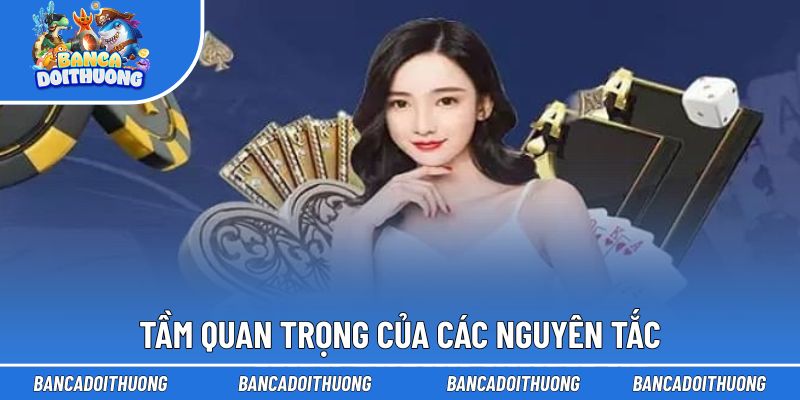 Ý nghĩa của chính sách là gì?