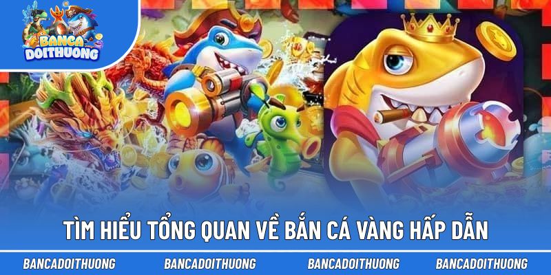 Tìm hiểu tổng quan về bắn cá vàng hấp dẫn