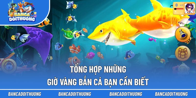 Tổng hợp những giờ vàng bắn cá bạn cần biết