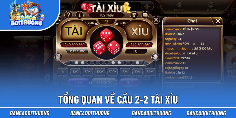 Giải thích chung về cầu 2-2 Tài Xỉu
