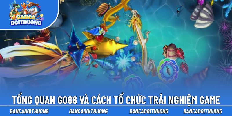 Tổng quan Go88 và cách nền tảng tổ chức trải nghiệm game