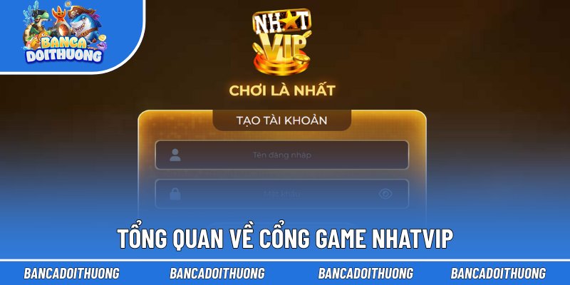Tổng quan về cổng game Nhatvip