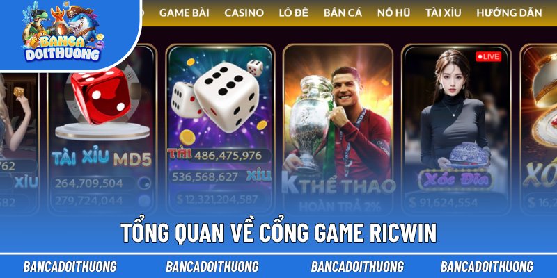 Tổng quan về cổng game Ricwin