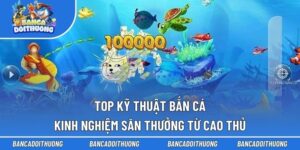 Top Kỹ Thuật Bắn Cá